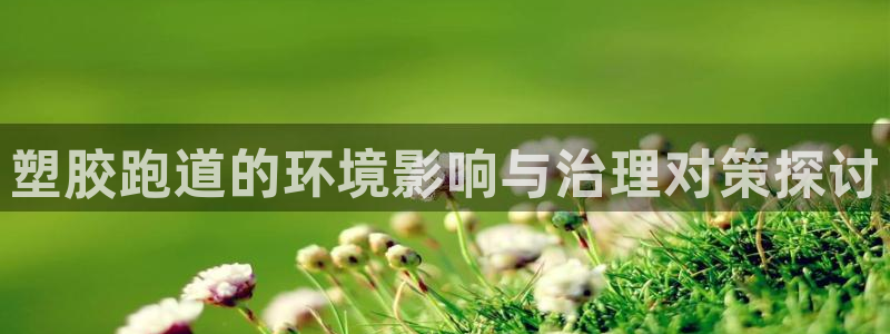 55814红足1世：塑胶跑道的环境影响与治理对策探讨