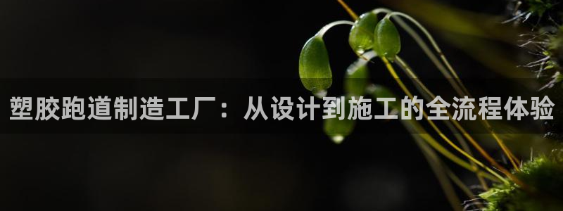 666814红·足一世比分:塑胶跑道制造工厂:从设计到施工的全流程体验