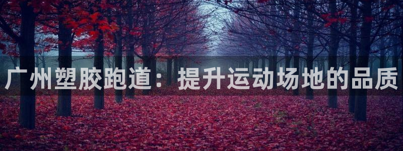 333814红·足一世比分：广州塑胶跑道：提升运动场地的品质