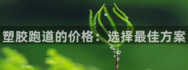 新2足球平台出租网站：塑胶跑道的价格：选择最佳方案