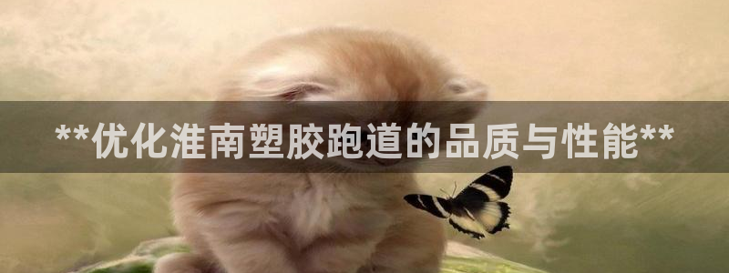 红足一1世官网足球推荐真人：**优化淮南塑胶跑道的品质与性能**