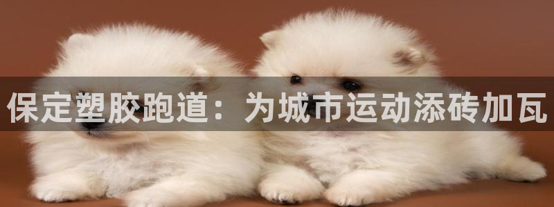 红足 世足球手机网:保定塑胶跑道:为城市运动添砖加瓦