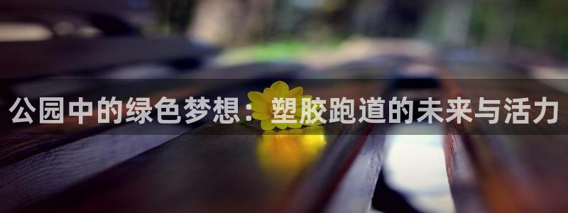 红足1世1站:公园中的绿色梦想:塑胶跑道的未来与活力