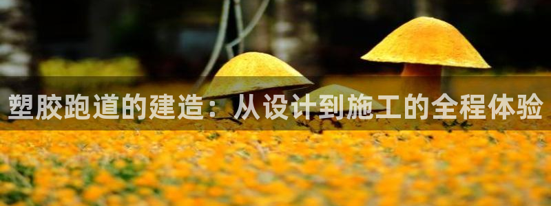 红足一1世官网足球推荐真人：塑胶跑道的建造：从设计到施工的全程体验