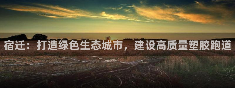 333814红足1世：宿迁：打造绿色生态城市，建设高质量塑胶跑道