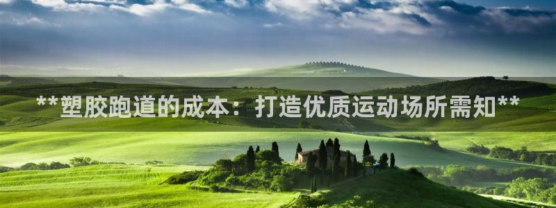 红足一一世足球网开奖记录：**塑胶跑道的成本：打造优质运动场所需知**