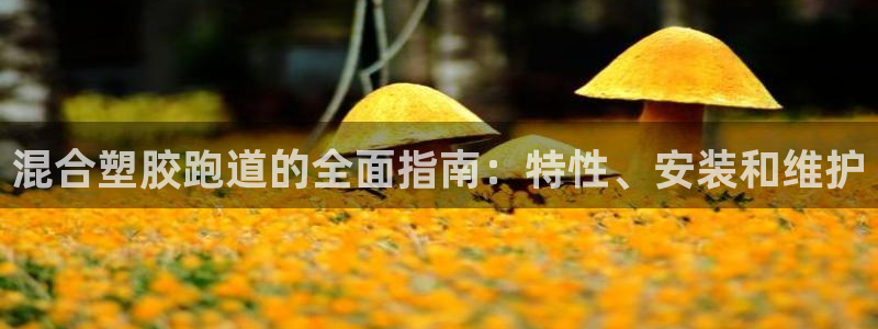 66814红足：混合塑胶跑道的全面指南：特性、安装和维护