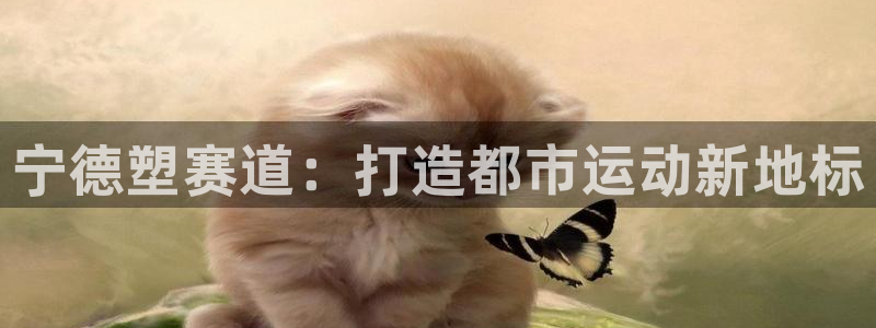 百度红足一1视频在线观看:宁德塑赛道:打造都市运动新地标