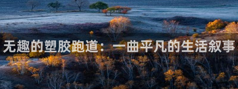 红足一1世比分：无趣的塑胶跑道：一曲平凡的生活叙事
