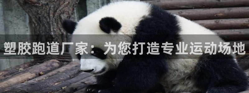 红足1世足球网址:塑胶跑道厂家:为您打造专业运动场地