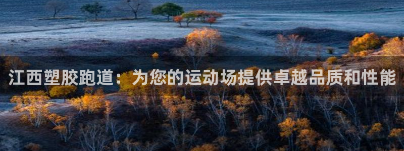 红足1世足球比分网址：江西塑胶跑道：为您的运动场提供卓越品质和性能