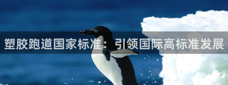 红足一1世皇冠地址：塑胶跑道国家标准：引领国际高标准发展