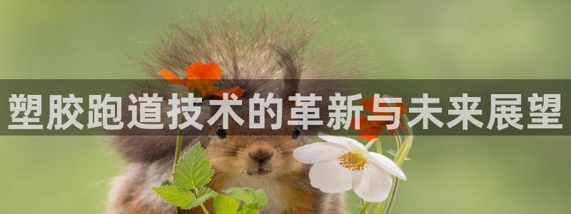 红足一1世666814足球：塑胶跑道技术的革新与未来展望