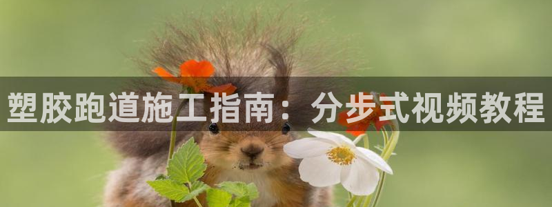 红世一足球比分：塑胶跑道施工指南：分步式视频教程