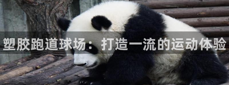 红足一1世手机版新皇冠：塑胶跑道球场：打造一流的运动体验