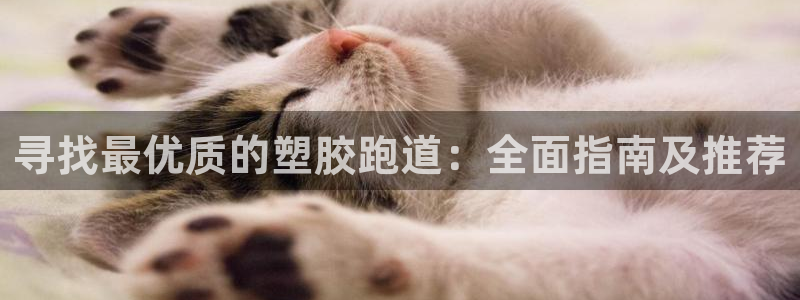 红足一1世666814足球：寻找最优质的塑胶跑道：全面指南及推荐