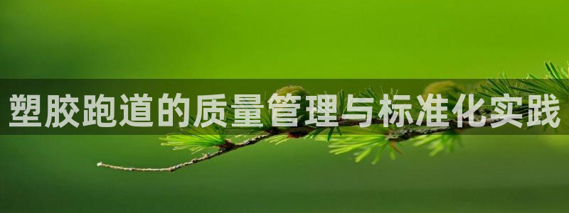 百度红足一1是为什么：塑胶跑道的质量管理与标准化实践