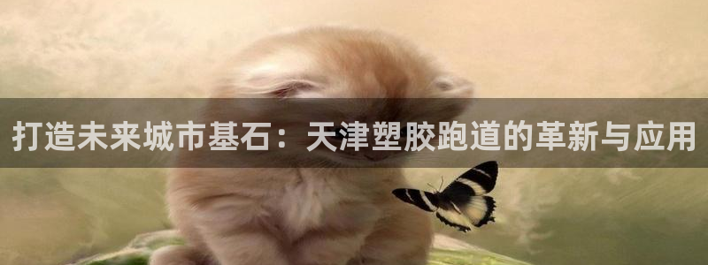 777814红·足一世:打造未来城市基石:天津塑胶跑道的革新与应用