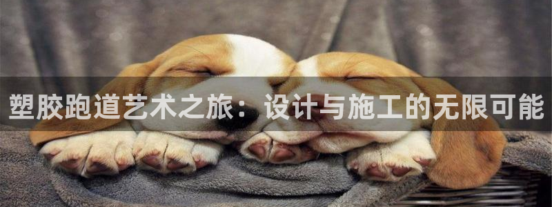 红足1世足球比分网址:塑胶跑道艺术之旅:设计与施工的无限可能