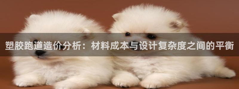 红世一足球比分:塑胶跑道造价分析:材料成本与设计复杂度之间的平衡