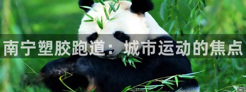 红足1世足球：南宁塑胶跑道：城市运动的焦点