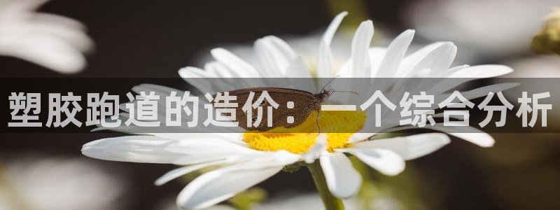 红足一1世官网:塑胶跑道的造价:一个综合分析