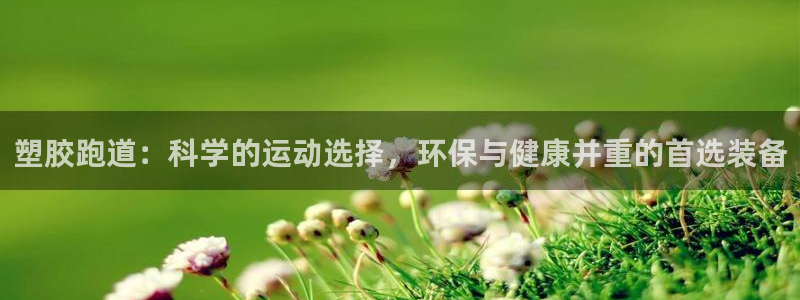 333814红足1世:塑胶跑道:科学的运动选择,环保与健康并重的首选装备