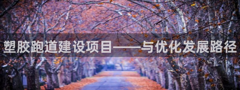 红足一1世手机皇冠：塑胶跑道建设项目——与优化发展路径