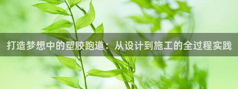 红足足球网:打造梦想中的塑胶跑道:从设计到施工的全过程实践