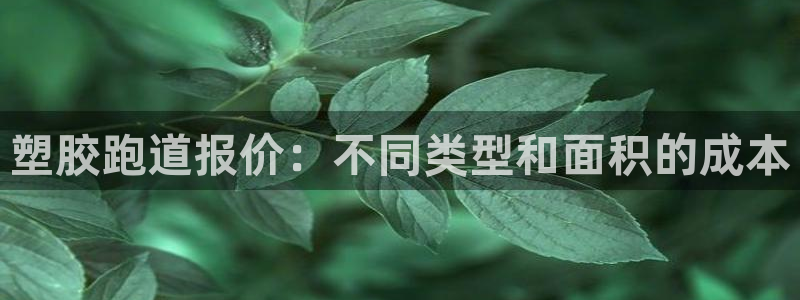 红足1世手机版下载：塑胶跑道报价：不同类型和面积的成本