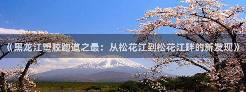 红足网足球直播:《黑龙江塑胶跑道之最:从松花江到松花江畔的新发现》