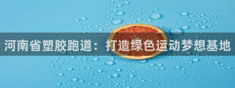 55814红足1世：河南省塑胶跑道：打造绿色运动梦想基地