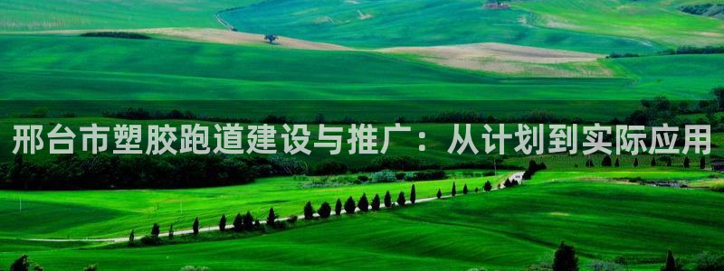 红足1世足球比分：邢台市塑胶跑道建设与推广：从计划到实际应用