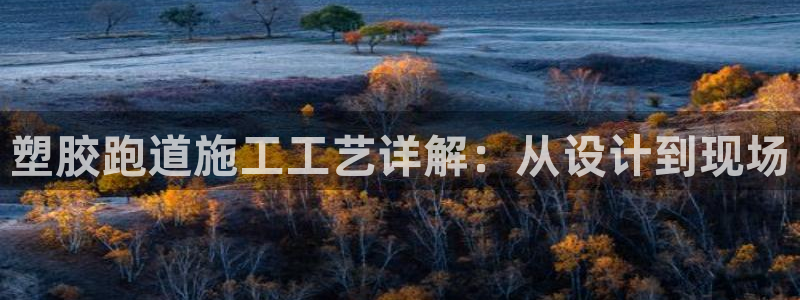 4633333开奖结果4176一点红:塑胶跑道施工工艺详解:从设计到现场