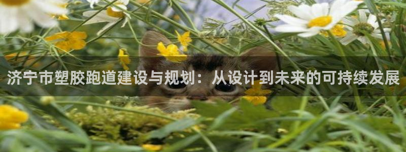 百度红足一1是什么样子的