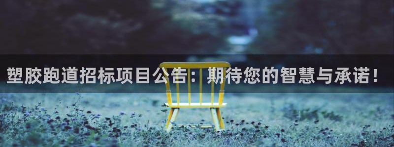 百度红足一1使用说明：塑胶跑道招标项目公告：期待您的智慧与承诺！