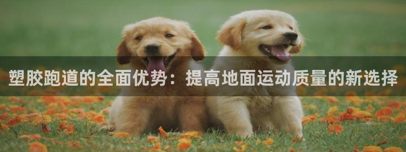 66814红足:塑胶跑道的全面优势:提高地面运动质量的新选择