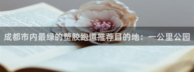 百度红足一1是干什么的