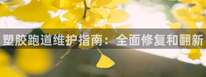 红足一1世手机皇冠:塑胶跑道维护指南:全面修复和翻新