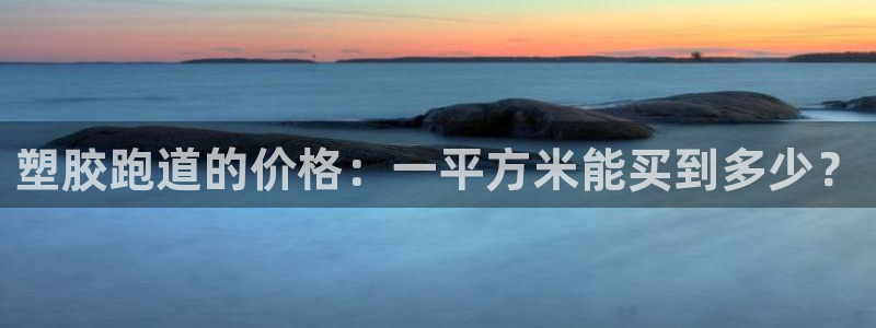 百度红足一1世:塑胶跑道的价格:一平方米能买到多少?