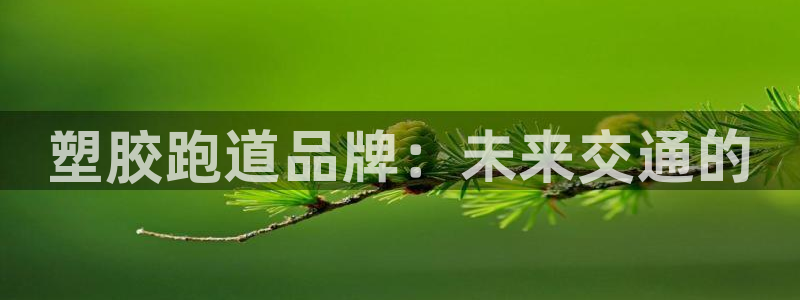 红足一1世手机开奖：塑胶跑道品牌：未来交通的