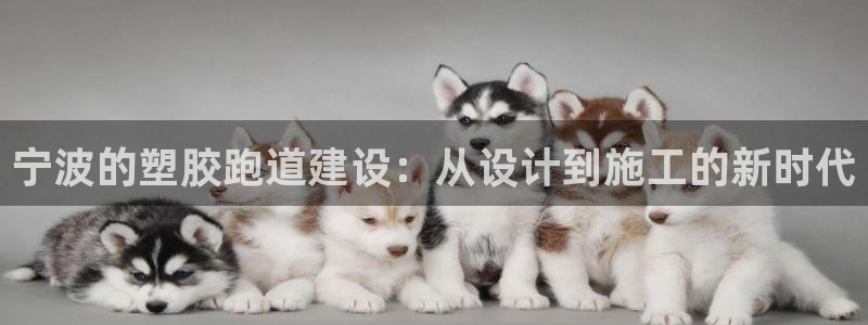 红足1世足球网址：宁波的塑胶跑道建设：从设计到施工的新时代