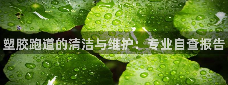 红足1世足球网址：塑胶跑道的清洁与维护：专业自查报告