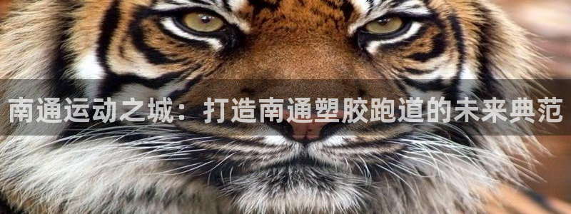 红足1世足球网址大全：南通运动之城：打造南通塑胶跑道的未来典范