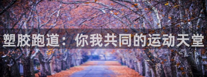 红足1一世 2站：塑胶跑道：你我共同的运动天堂