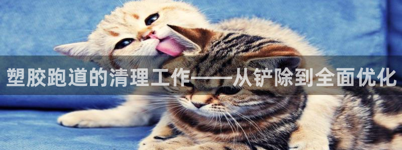 红足一1世皇冠:塑胶跑道的清理工作——从铲除到全面优化