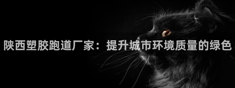 红足1世足球比分 localhost：陕西塑胶跑道厂家：提升城市环境质量的绿色