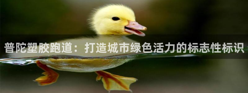 红足 世足球手机网:普陀塑胶跑道:打造城市绿色活力的标志性标识