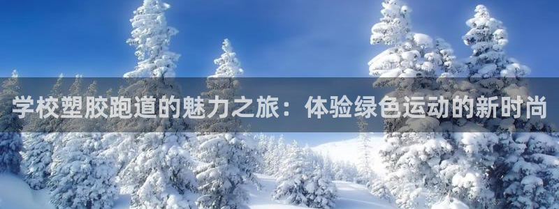 44814红足:学校塑胶跑道的魅力之旅:体验绿色运动的新时尚