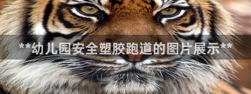 红足一1世666814足球
